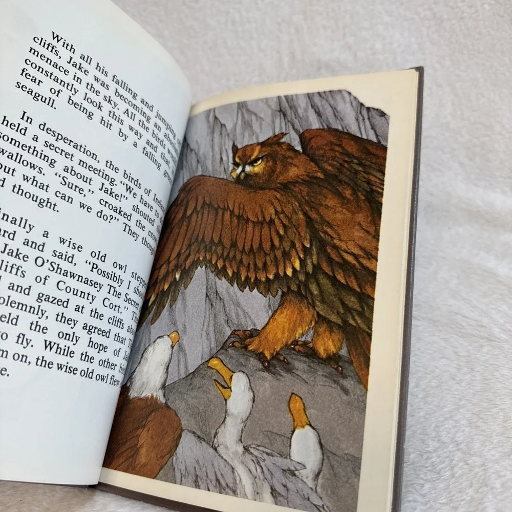 Jake O'Shawnasey Serendipity Book Stephen Cosgrove‎ Robin James Hardcover 1975